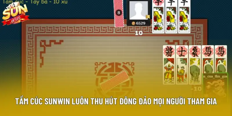 Tầm cúc Sunwin luôn thu hút đông đảo mọi người tham gia