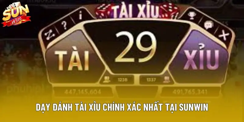 Dạy đánh tài xỉu chính xác nhất tại Sunwin