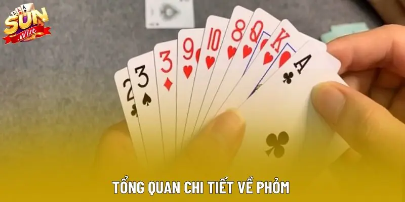Tổng quan chi tiết về phỏm Tổng quan chi tiết về phỏm